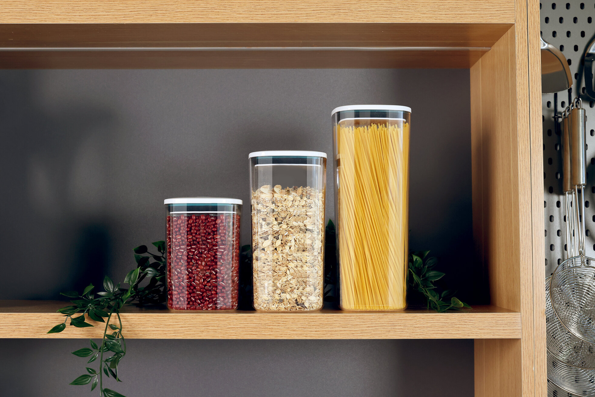 Fukuro Malaysia unveils the Rokku Food Storage Series, offering modern and dependable kitchen essentials at affordable everyday prices.