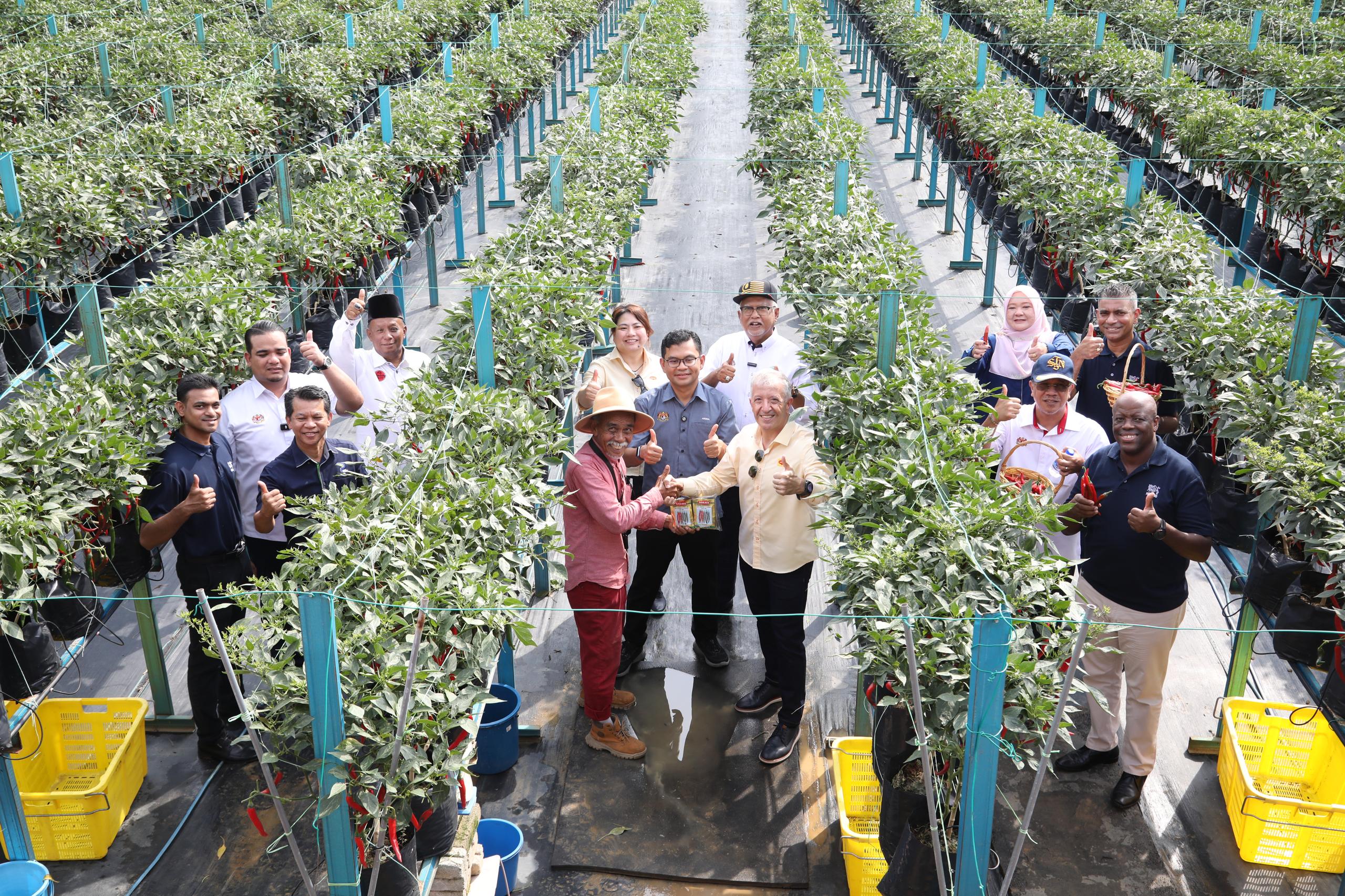 Nestlé Malaysia Goes Fully Local with 100% Homegrown Chillies for MAGGI